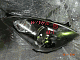    !: DSC06440